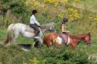 Équitation et balades à cheval